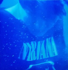 Nevermind Live