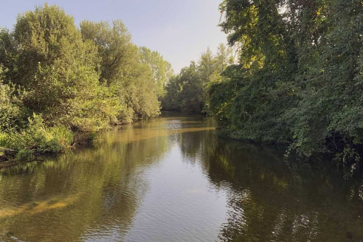 CMG sensibiliza comunidade para a preservação do rio Ave