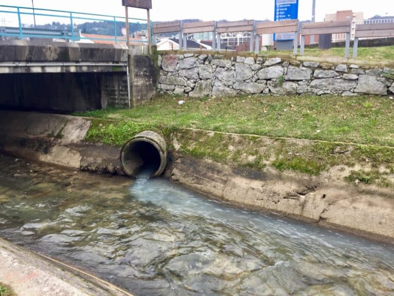 QUERCUS:"CMB e juntas deviam ter papel mais activo na defesa do rio Este"