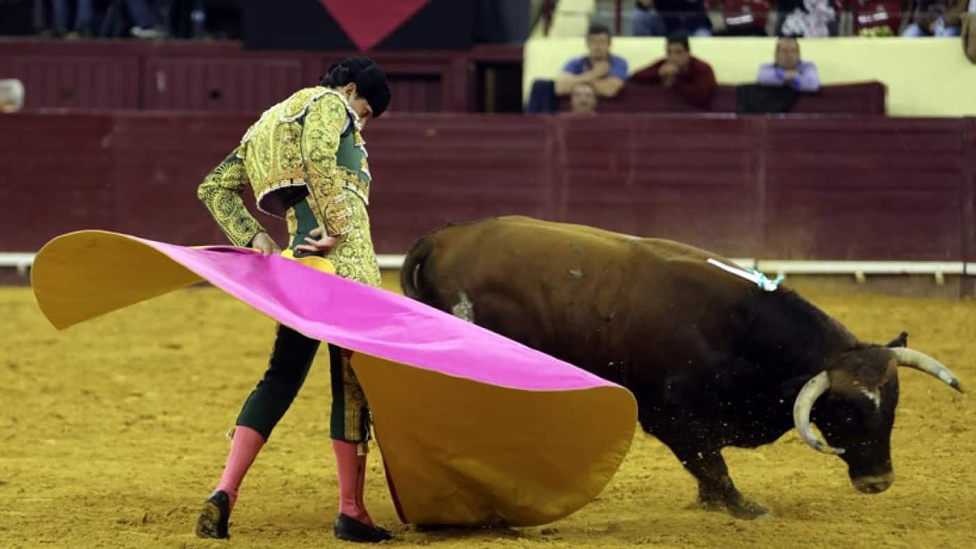 IVA das touradas sobe, o das exposições baixa