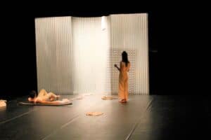 GUIdance. Elizabete Francisca explora crise da habitação em "Dias Contados"