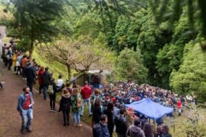 Festival Tremor, nos Açores, cancelado