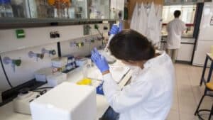 Bolsas de investigação prolongadas por um mês