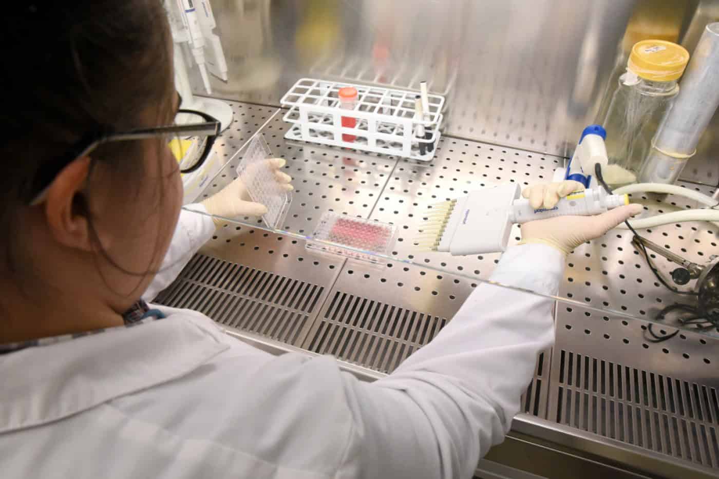 COVID-19. FCT lança linha de financiamento para projectos de I&D