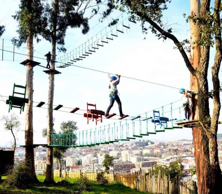 Já é possível visitar, virtualmente, o Picoto Park