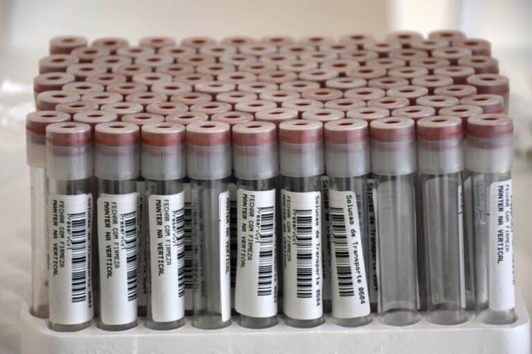 Quatro infectados entre 1700 utentes e funcionários de lares de Famalicão