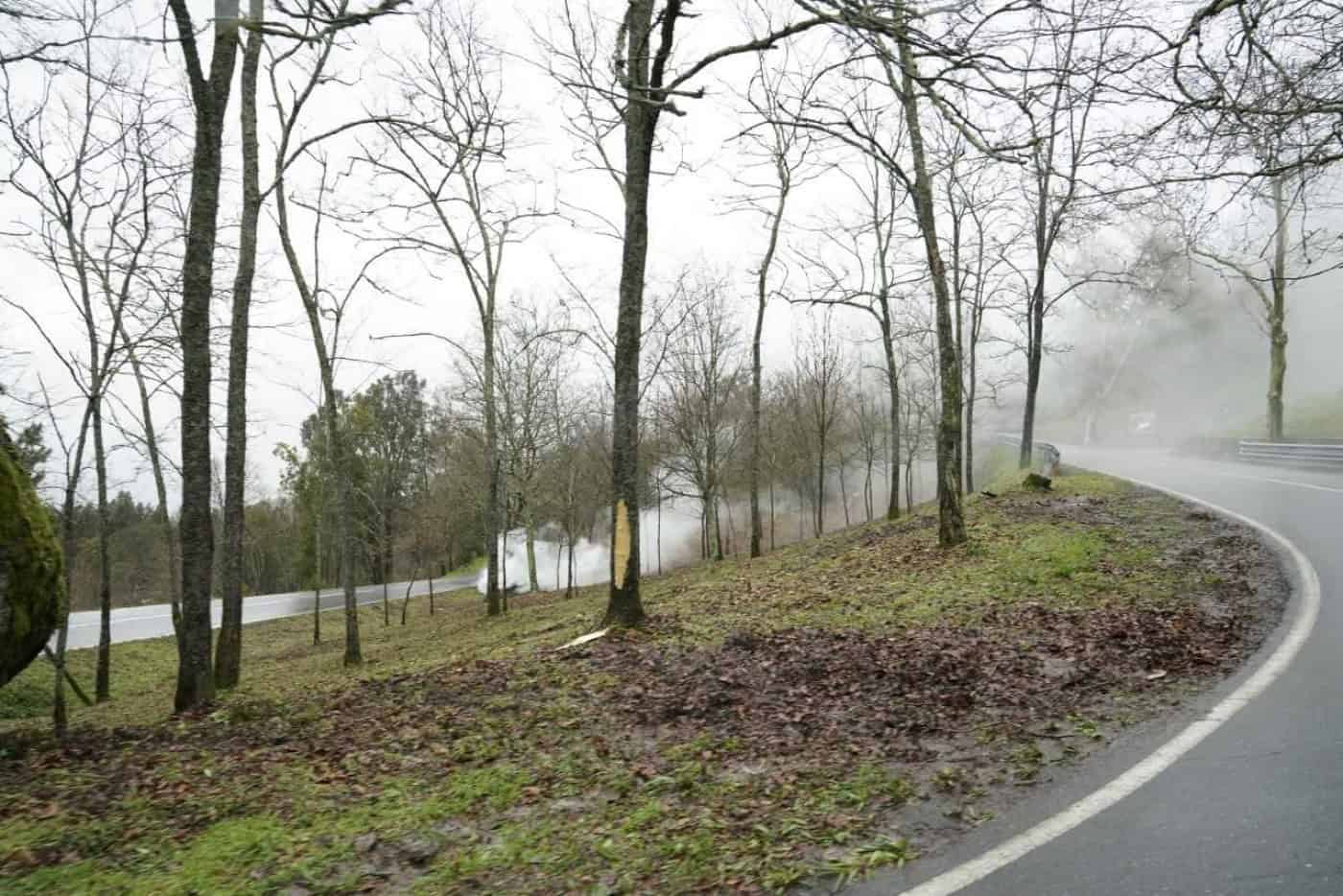 Até 31 de Maio todas as faixas de combustível devem ser limpas