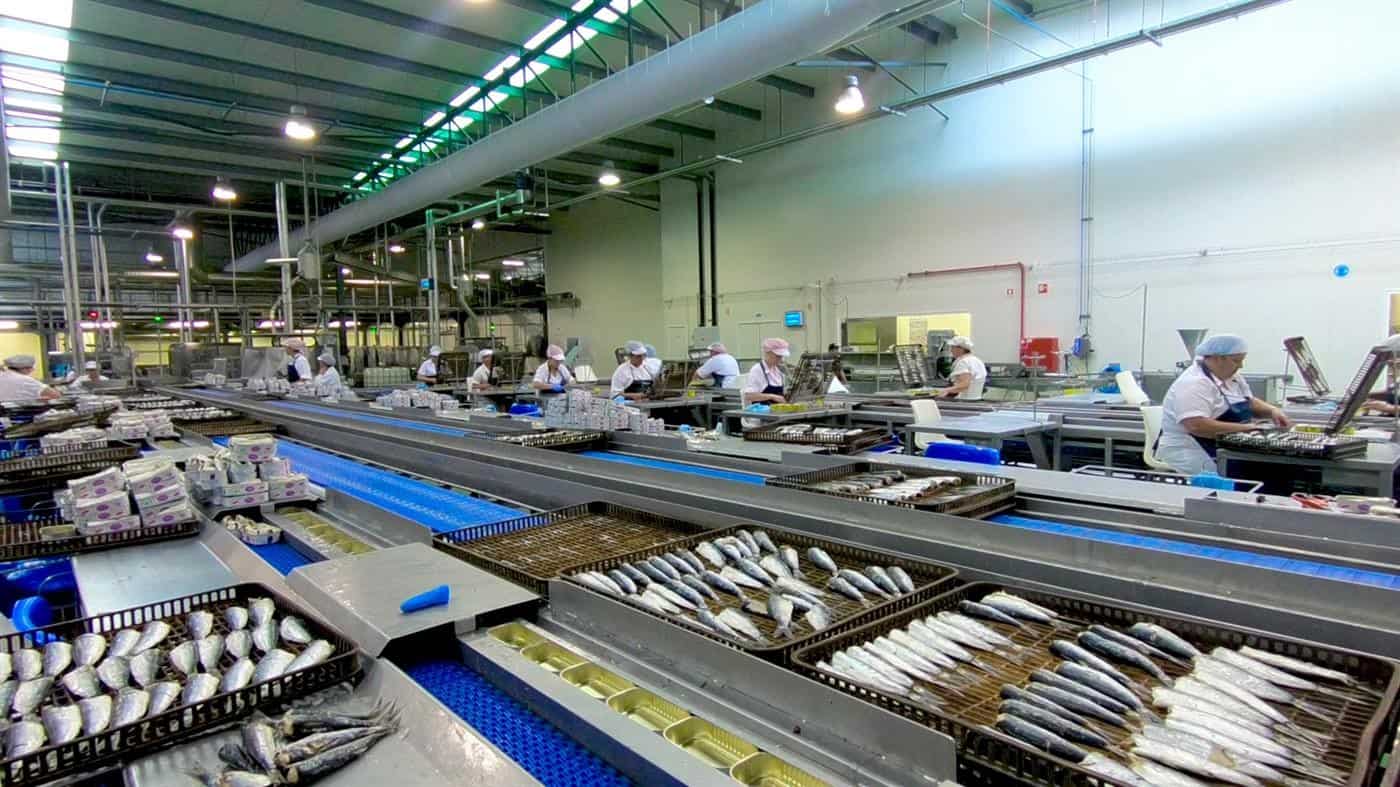 Funcionários de fábrica de conservas de Vila do Conde com Covid-19