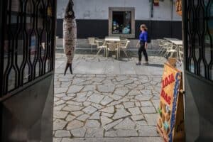 Braga: Porta-voz do Urbac-19 e vereador trocam acusações