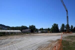 Famalicão vê nascer um Centro de Protecção para animais