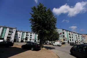 Bragahabit garante que "há soluções" para realojar famílias de Santa Tecla