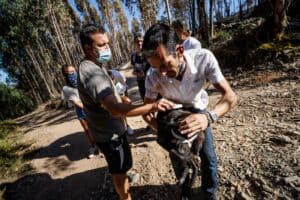 Grupo de activistas marca manifestação nocturna junto à Câmara de Santo Tirso