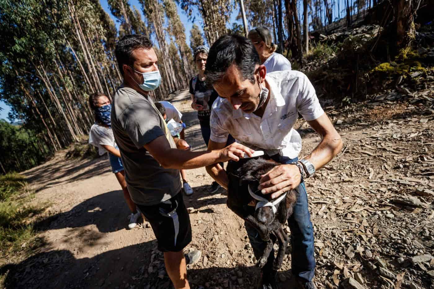 Grupo de activistas marca manifestação nocturna junto à Câmara de Santo Tirso
