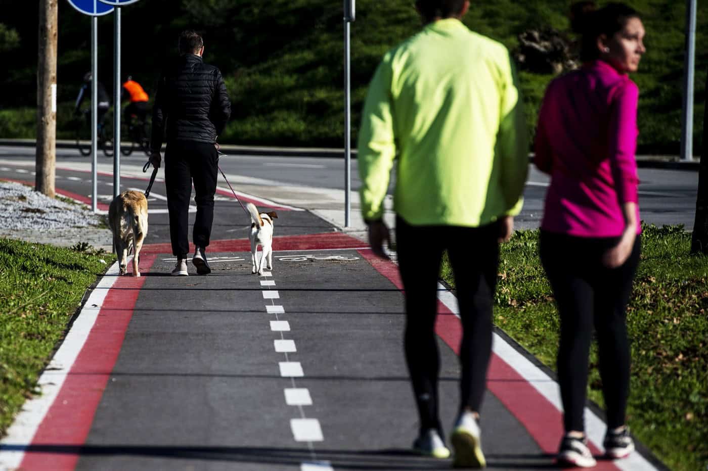 Autarquia admite abate de árvores da ciclovia de Lamaçães à Universidade