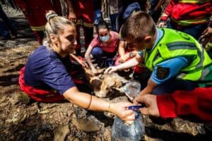 Santo Tirso suspende veterinário municipal e atribui-lhe culpa pela morte de 54 animais