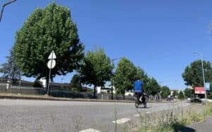 Quercus não se opõe à ciclovia da Variante da Encosta mas sim ao abate de árvores