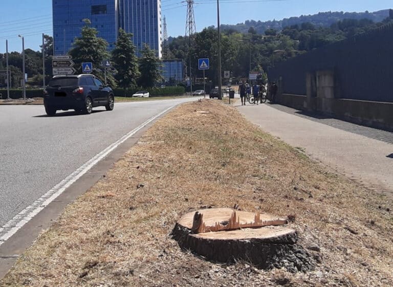 Grupo de cidadãos em protesto por abate de árvores em Braga