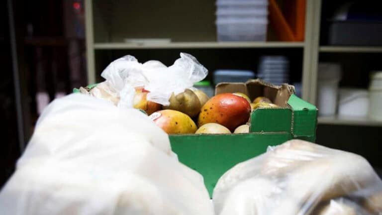 Pedidos de ajuda alimentar sobem e mostram "necessidades envergonhadas"