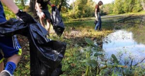 Synergia quer ajudar o ambiente no Dia Internacional da Juventude&nbsp;