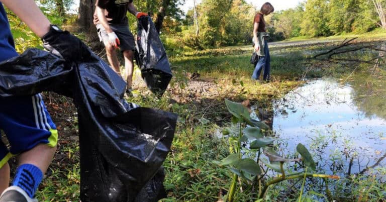 Synergia quer ajudar o ambiente no Dia Internacional da Juventude&nbsp;