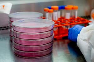 Milhares de docentes e investigadores fora do diploma que prolonga contratos&nbsp;