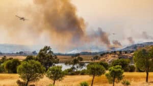 Onze concelhos de quatro distritos em risco máximo de incêndio