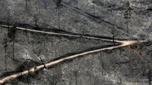 Incêndios. Área ardida aumenta 35% este ano face a 2019