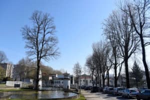 Constrangimentos ao trânsito junto à Escola D. Sancho I vão durar 4 meses&nbsp;