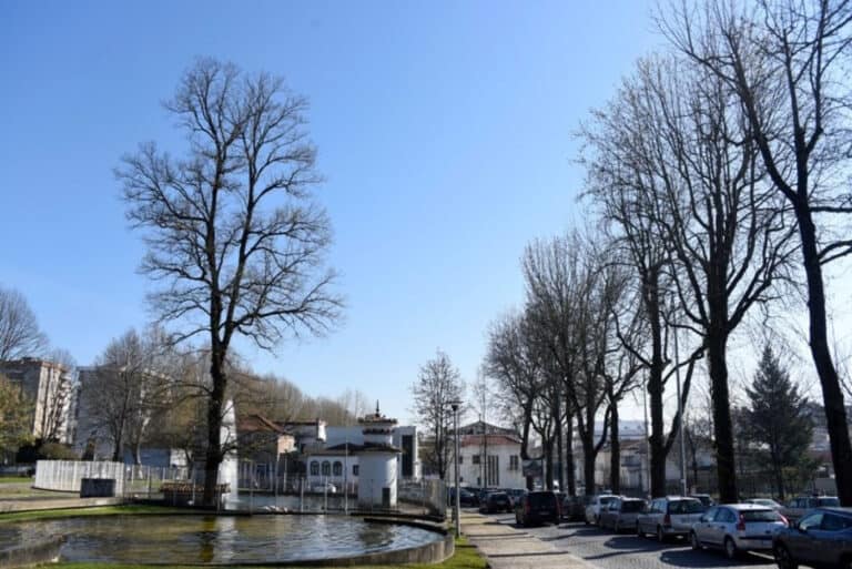 Constrangimentos ao trânsito junto à Escola D. Sancho I vão durar 4 meses&nbsp;