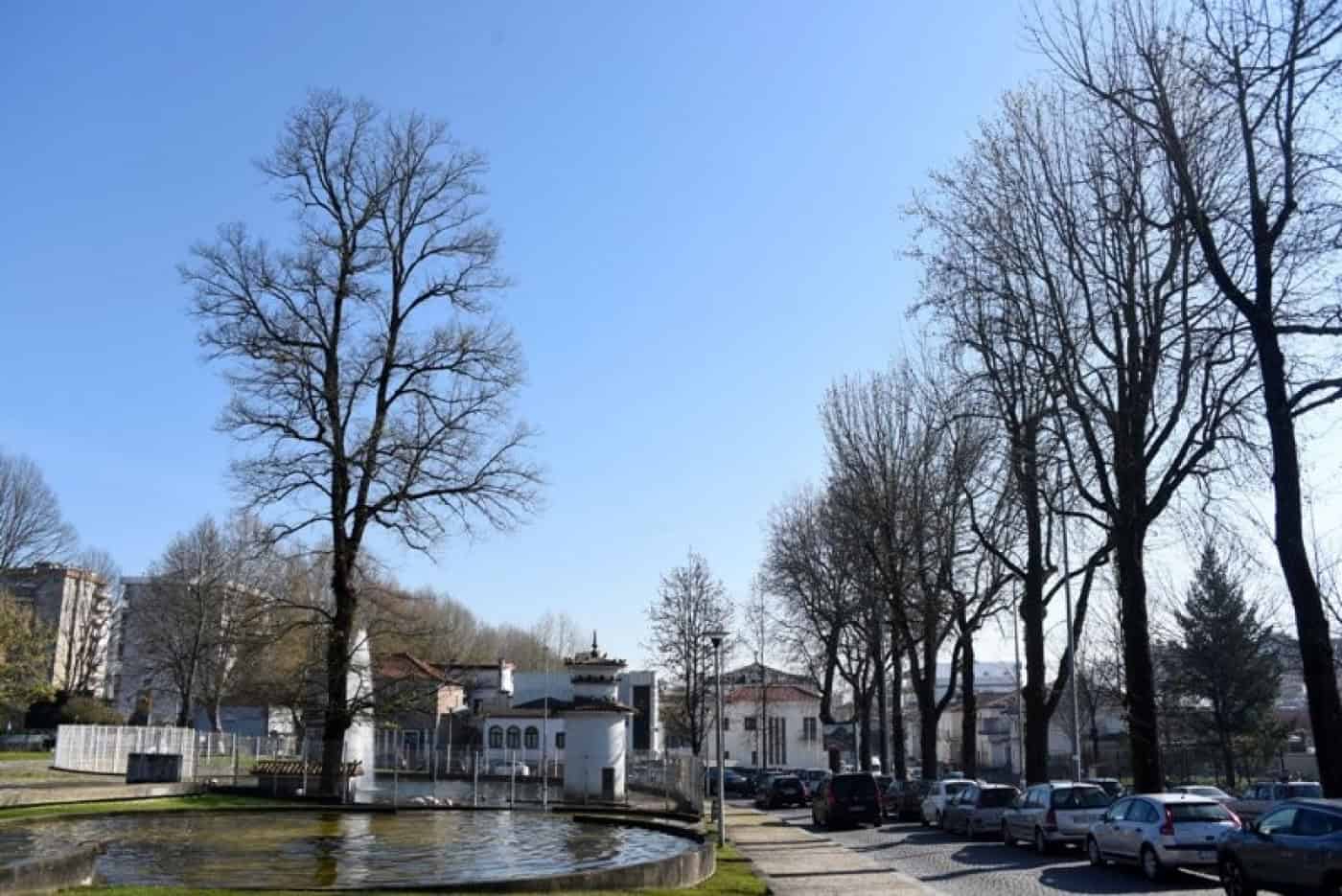 Constrangimentos ao trânsito junto à Escola D. Sancho I vão durar 4 meses&nbsp;