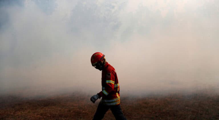 Dois bombeiros feridos com gravidade em combate a incêndio em Proença-a-Nova