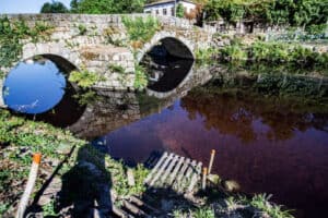 Os Verdes exigem a despoluição do Rio Vizela