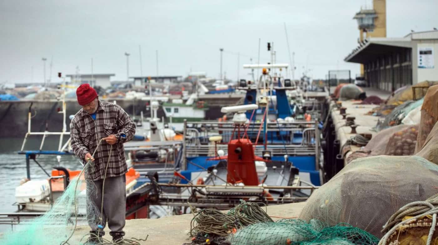 Há 14 pescadores infectados com covid-19 na Póvoa e Vila do Conde