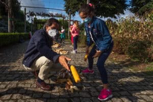 Semana do Clima em Braga é feita no terreno com os bracarenses