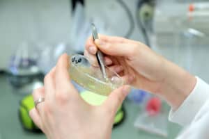 FCT atribui 1350 bolsas de doutoramento