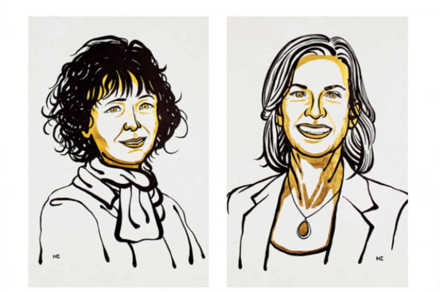 Nobel da Química distingue cientistas que desenvolveram método de edição genética