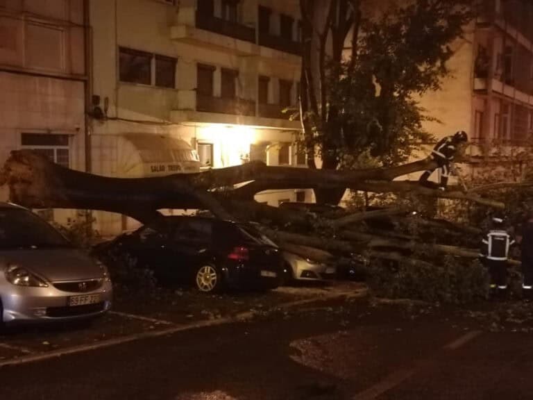 Depressão Bárbara. Mais de 500 ocorrências, em especial no distrito de Lisboa