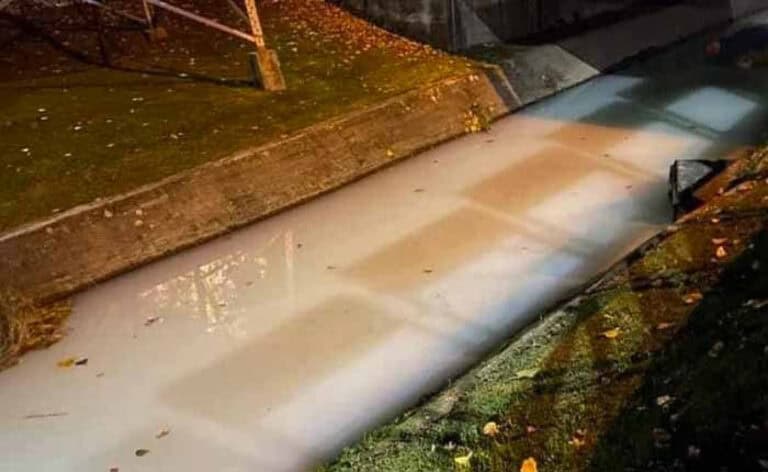 Os Verdes querem "união" de Municípios para o bem do Rio Este