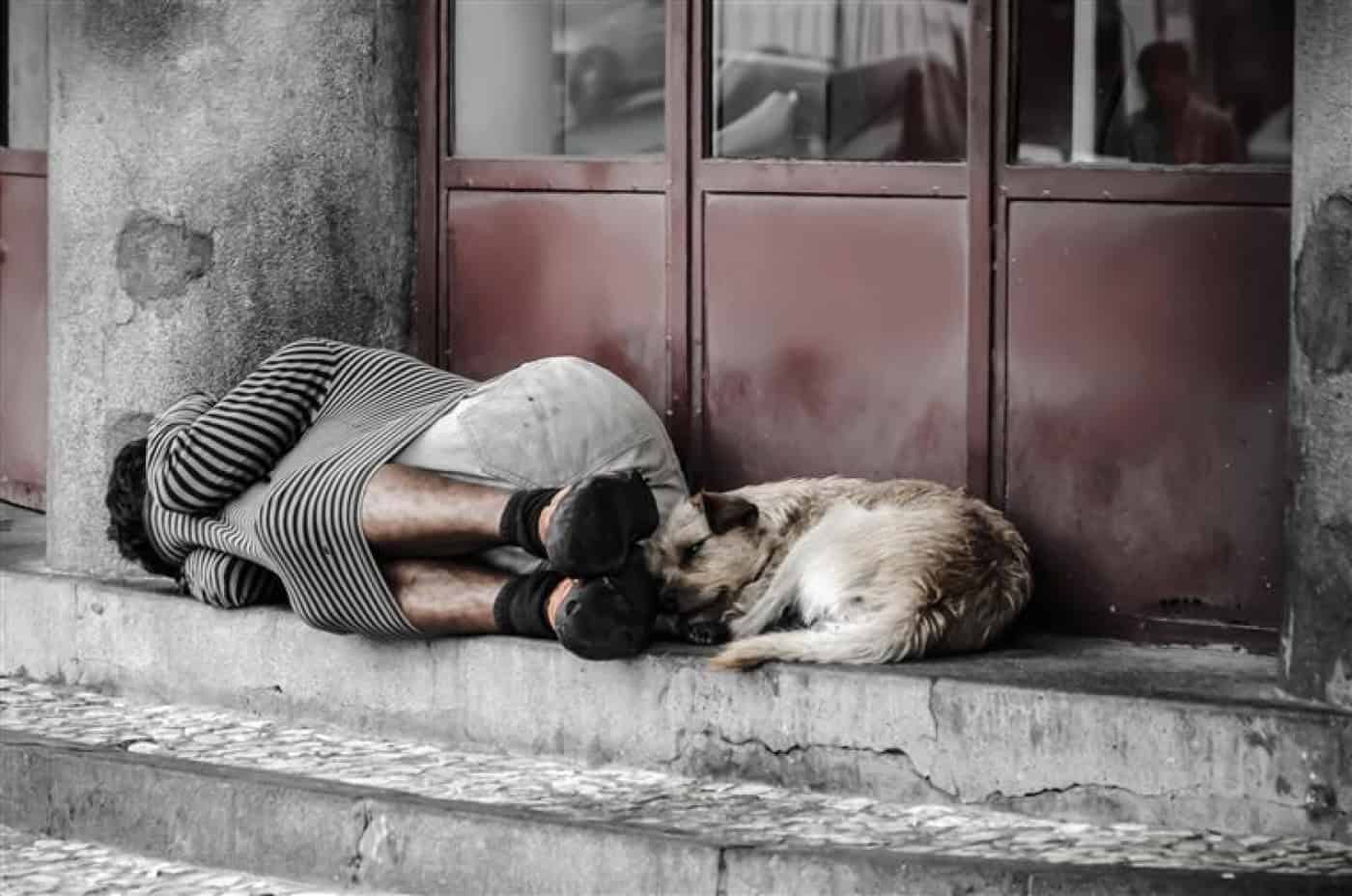 Parlamento Europeu quer tirar 700 mil sem-abrigo das ruas até 2030