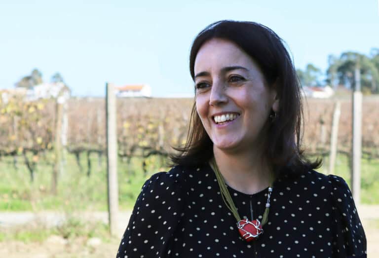 "Vinho e vinha são peça indispensável na vivência de muitas zonas rurais europeias”