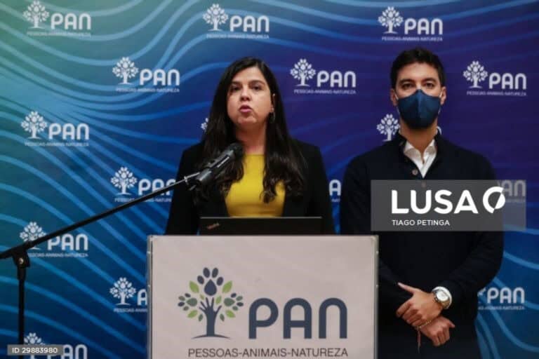 OE2021: PAN abstém-se e garante aprovação da proposta do Governo