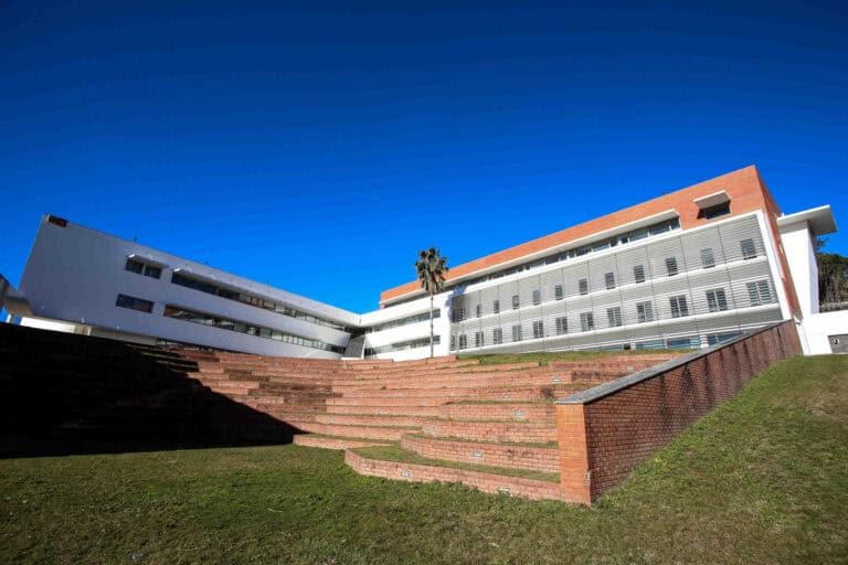 Cláudia Simões é a nova presidente da Escola de Economia e Gestão da UMinho