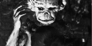 Theatro Circo cancela concerto de St. James Park e Cláudia Guerreiro