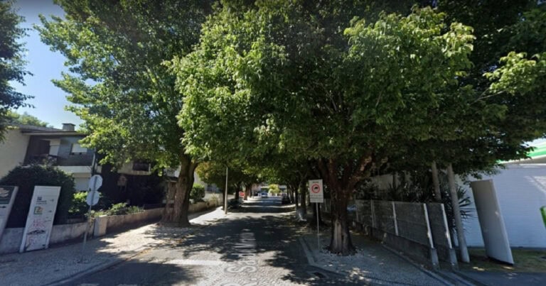 CM Braga justifica abate de quatro árvores com base em relatório intercalar