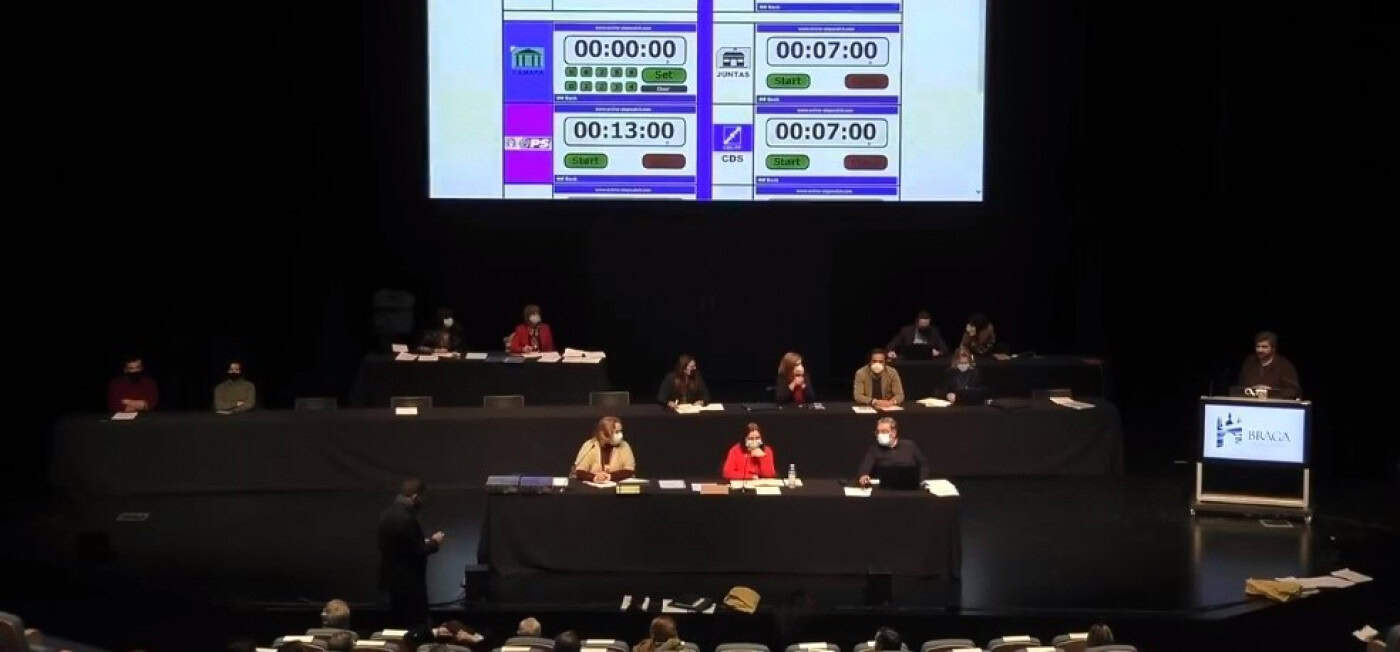 Cidadãos exigem à CMB que elabore regulamento do arvoredo no concelho