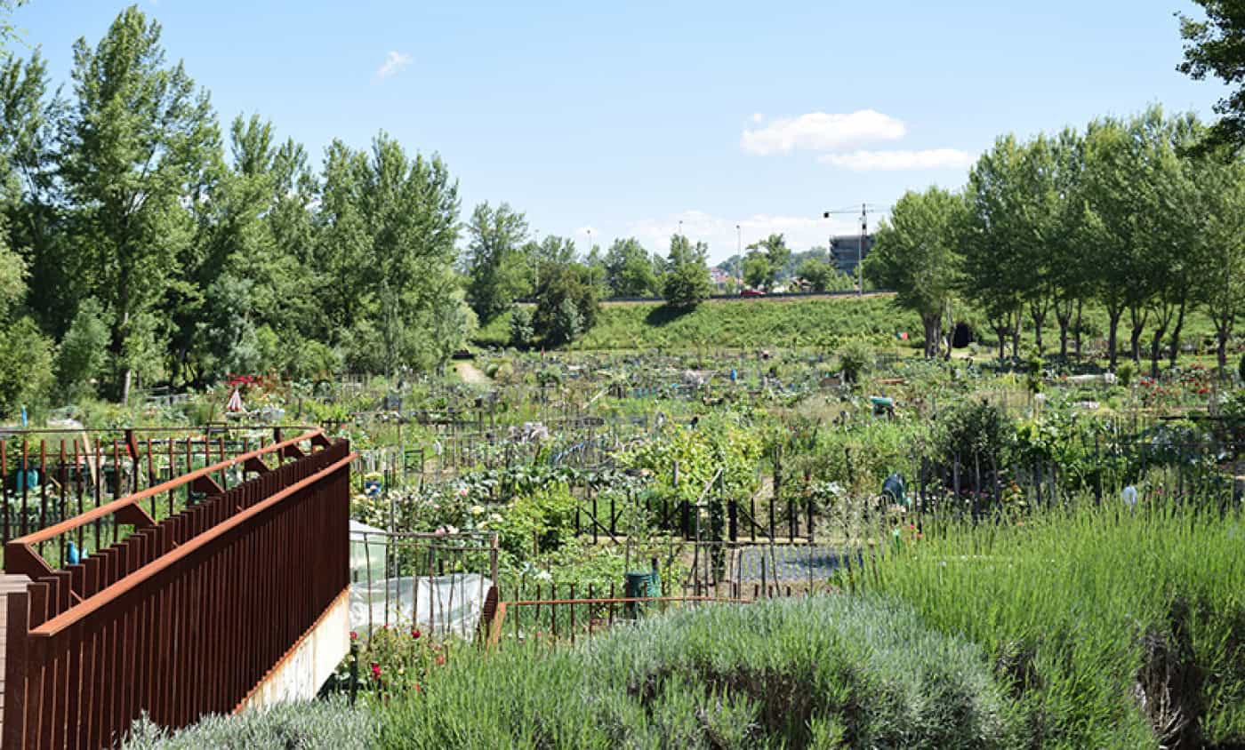 PAN Guimarães quer reduzir o uso de plástico nas hortas comunitárias