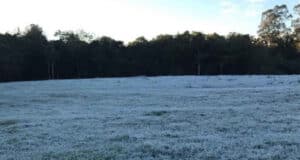 Pico da vaga de frio será atingido nos dias 11 e 12 de janeiro