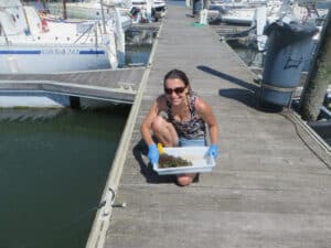 CBMA já identificou cerca de 15 espécies não indígenas no norte do país