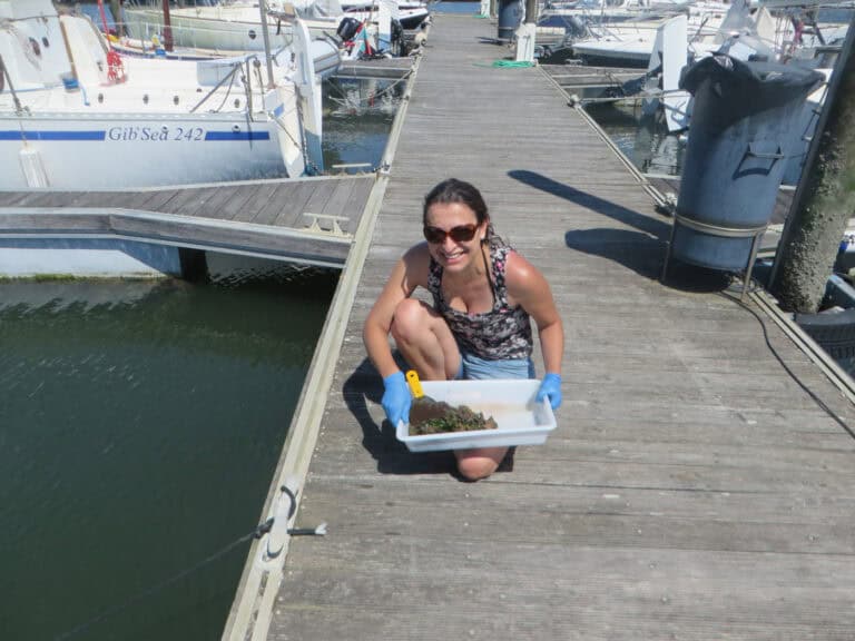 CBMA já identificou cerca de 15 espécies não indígenas no norte do país