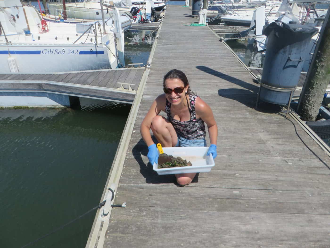 CBMA já identificou cerca de 15 espécies não indígenas no norte do país